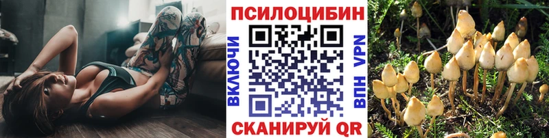 Псилоцибиновые грибы мицелий  Купить  Городовиковск 